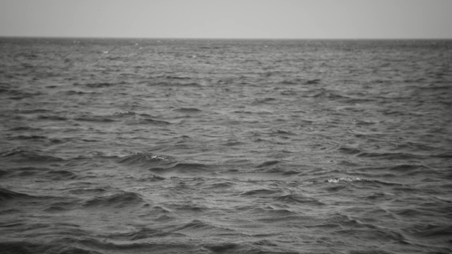 Video Reference N0: sea, horizon, ocean, water, black and white, wave, wind wave, sky, calm, monochrome photography