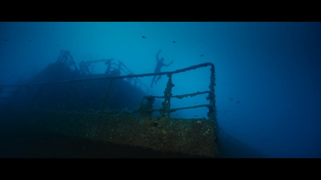 Video Reference N2: blue, underwater, water, shipwreck, atmosphere, sea, reef, darkness, marine biology, screenshot