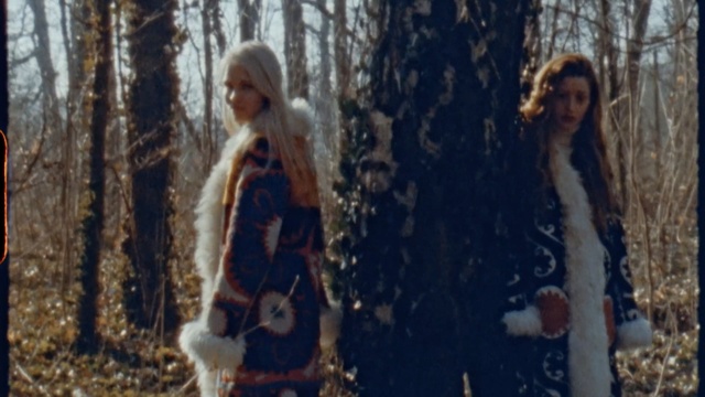 Video Reference N4: tree, woody plant, winter, girl, forest, plant, woodland, screenshot, Person