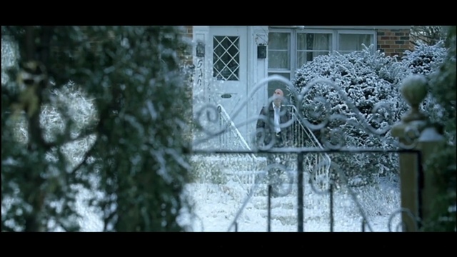 Video Reference N0: tree, woody plant, winter, urban area, plant, architecture, branch, house, snow, freezing, Person