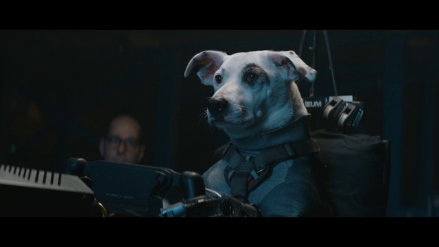 Video Reference N2: Dog breed, Canidae, Snout, Screenshot, Photography, Fictional character, Movie, Darkness, Music