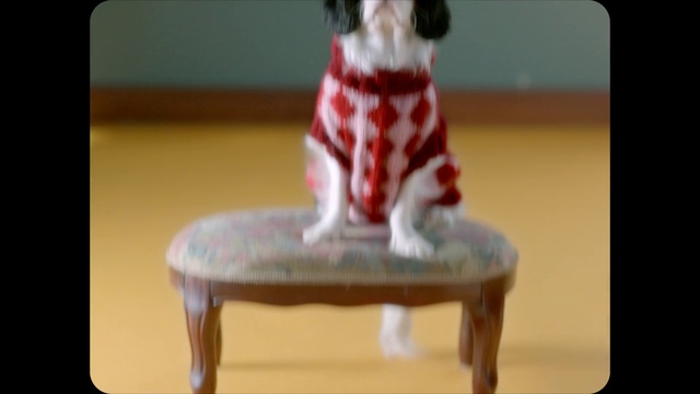 Video Reference N1: Photograph, White, Product, Rectangle, Sleeve, Toy, Wood, Fawn, Snapshot, Souvenir