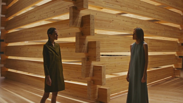 Video Reference N3: Outerwear, Temple, Sleeve, Wood, Standing, Wood stain, Hardwood, Plank, Tints and shades, Shade