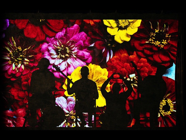 Video Reference N2: Flower, Rectangle, Petal, Organism, Creative arts, Art, Font, Magenta, Tints and shades, Painting