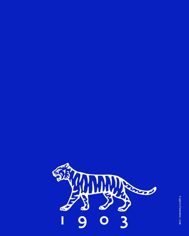 Video Reference N1: Blue, Carnivore, Felidae, Rectangle, Font, Art, Terrestrial animal, Tail, Electric blue, Big cats