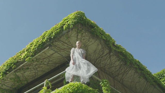 Video Reference N1: Sky, Eye, Plant, People in nature, Branch, Flash photography, Dress, Grass, Biome, Shrub