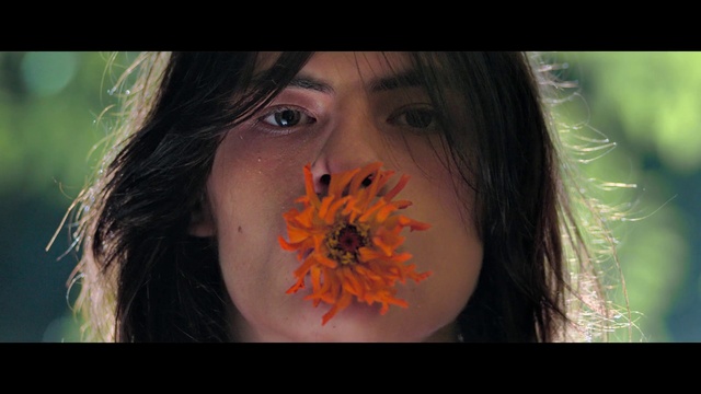 Video Reference N3: Lip, Plant, Mouth, Eyelash, People in nature, Flash photography, Gesture, Petal, Happy, Grass