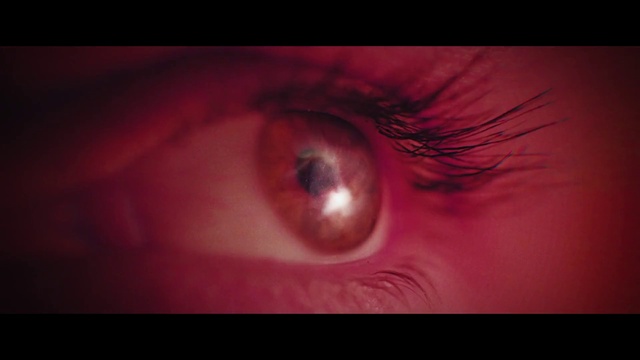 Video Reference N1: Eyelash, Pink, Flash photography, Magenta, Snout, Lens, Circle, Darkness, Macro photography, Flesh