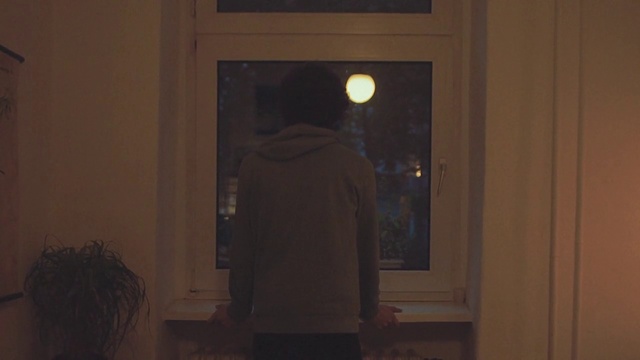 Video Reference N4: Window, Wood, Architecture, Plant, Building, Tints and shades, Midnight, Event, Space, House