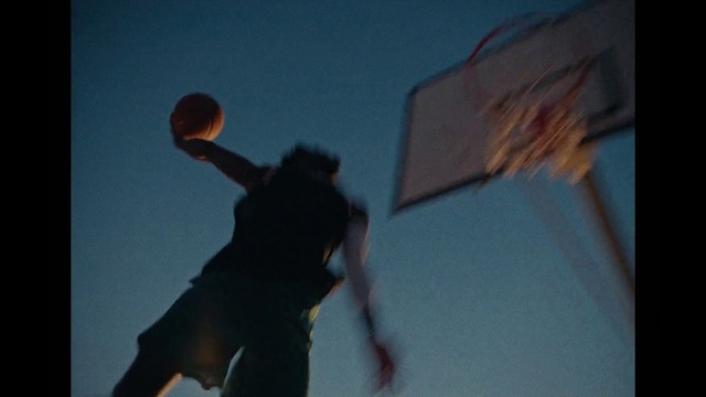 Video Reference N2: Sky, Ball, Sports equipment, Gesture, Tints and shades, Happy, Tree, Ball game, Team sport, Player