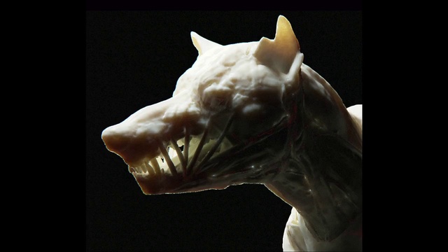 Video Reference N1: Jaw, Statue, Sculpture, Artifact, Creative arts, Art, Natural material, Snout, Tooth, Close-up