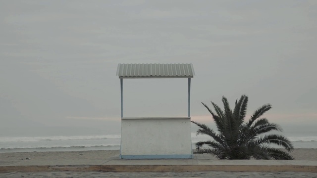 Video Reference N0: Sky, Tree, Rectangle, Shade, Beach, Wall, Arecales, Water, Horizon, Facade