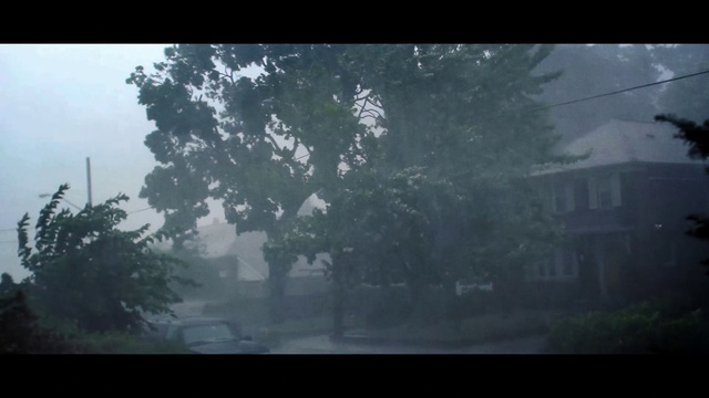 Video Reference N2: Atmosphere, Water, Cloud, Window, Plant, Natural landscape, Twig, Sky, Tree, Atmospheric phenomenon