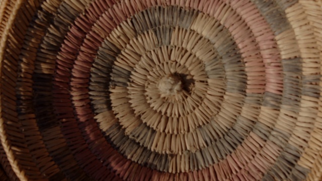 Video Reference N2: Brown, Wood, Natural material, Trunk, Symmetry, Tree, Pattern, Circle, Terrestrial plant, Art