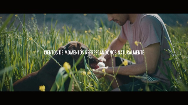 Video Reference N0: Plant, People in nature, Flash photography, Happy, Gesture, Flower, Grass, Grassland, Natural landscape, Font