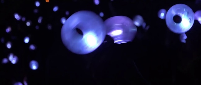 Video Reference N0: Purple, Violet, Sky, Gas, Electric blue, Light bulb, Magenta, Darkness, Space, Circle