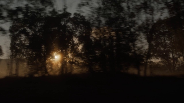 Video Reference N1: Plant, Cloud, Automotive lighting, Natural landscape, Twig, Wood, Water, Tree, Dusk, Trunk
