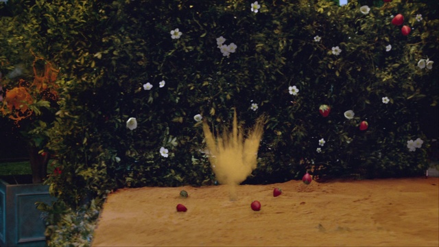 Video Reference N4: Plant, Grass, Flower, Wood, Landscape, Tree, Tints and shades, Petal, Leisure, Art