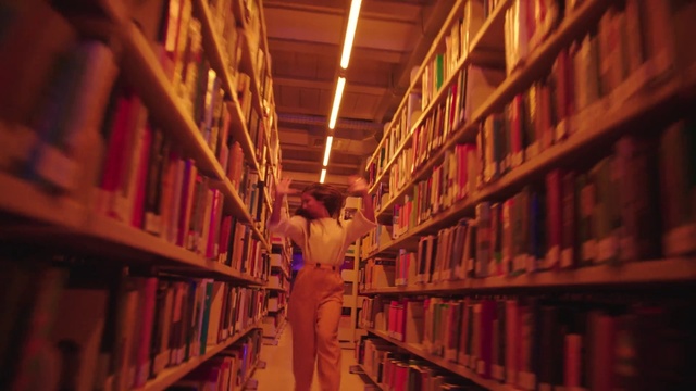Video Reference N3: Bookcase, Shelf, Publication, Shelving, Book, Wood, Building, Symmetry, Retail, Library