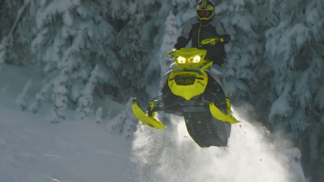 Video Reference N19: Snow, Goggles, Slope, Recreation, Personal protective equipment, Tree, Freezing, Sports equipment, Winter sport, Fictional character