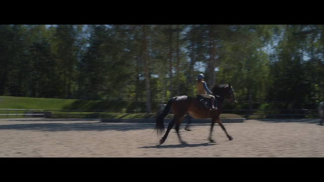 Video Reference N1: Horse, Helmet, Tree, Working animal, Horse tack, Bit, Horse supplies, Saddle, Bridle, Equestrian sport
