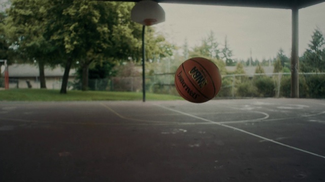 Video Reference N3: Basketball, Sports equipment, Plant, Streetball, Ball, Tree, Basketball court, Asphalt, Sky, Basketball