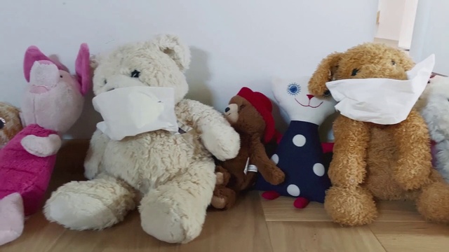Video Reference N2: Brown, Toy, Vertebrate, Textile, Mammal, Teddy bear, Wool, Stuffed toy, Comfort, Plush