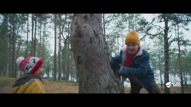 Thumbnail