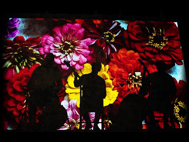 Video Reference N9: Flower, Petal, Organism, Rectangle, Creative arts, Paint, Art, Font, Magenta, Tints and shades