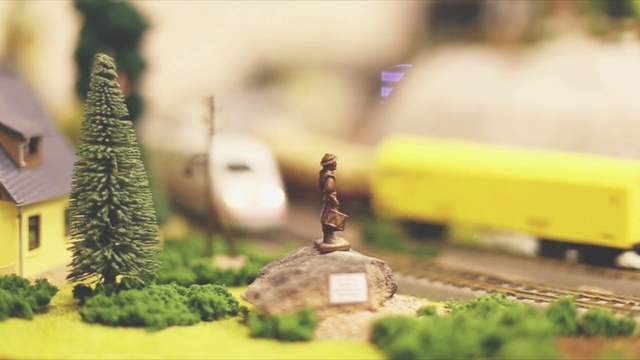 Video Reference N14: Plant, Wood, Grass, Track, Toy, Rolling, Railway, Evergreen, Tree, Landscape
