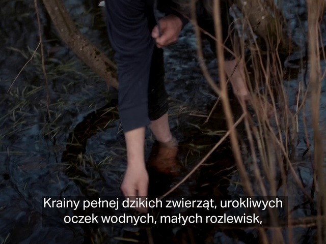 Video Reference N2: Leg, People in nature, Organism, Gesture, Thigh, Grass, Wood, Terrestrial plant, Adaptation, Plant
