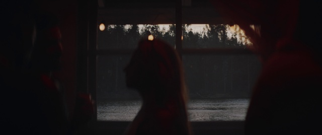 Video Reference N3: Window, Automotive lighting, Branch, Flash photography, Wood, Tree, Tints and shades, Midnight, Heat, Lens flare