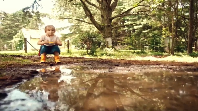 Video Reference N4: Water, Plant, Tree, People in nature, Happy, Grass, Wood, Toddler, Landscape, Natural landscape