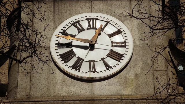 Video Reference N0: Brown, Wood, Clock, World, Twig, Font, Quartz clock, Tree, Measuring instrument, Tints and shades