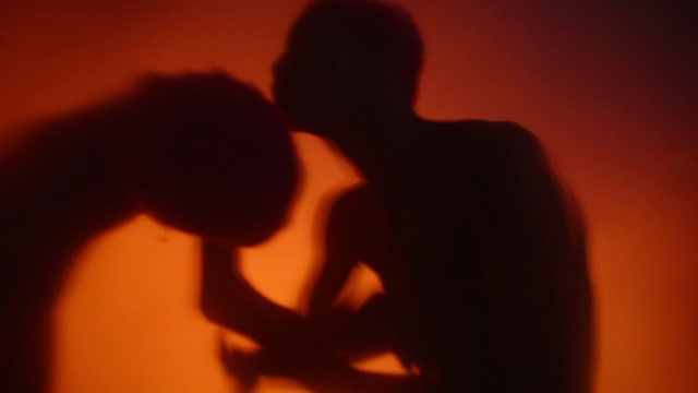 Video Reference N2: Gesture, Heat, Tints and shades, Darkness, Event, Backlighting, Shadow, Room, Romance, Silhouette