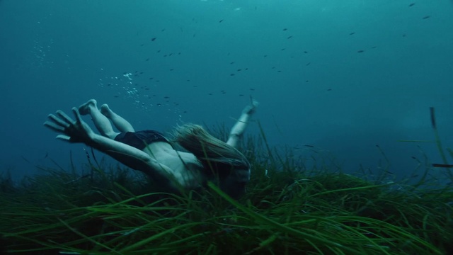 Video Reference N7: Water, Underwater, Plant, Underwater diving, People in nature, Organism, Sunlight, Fin, Grass, Lake