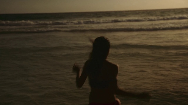 Video Reference N2: Water, Atmosphere, Sky, People in nature, Flash photography, Dusk, People on beach, Gesture, Happy, Sunset