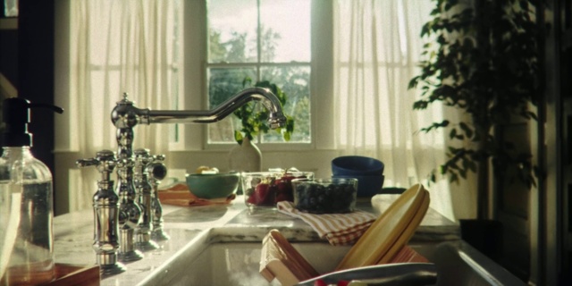 Video Reference N1: Tap, Window, Plant, Plumbing fixture, Sink, Interior design, Building, Wood, Kitchen, Serveware