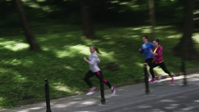 Video Reference N1: Plant, Shorts, Tree, Grass, Exercise, Leisure, Athlete, Recreation, Fun, Road