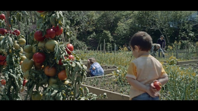 Video Reference N9: Food, Plant, Natural foods, Fruit, Happy, People in nature, Tree, Citrus, Apple, Produce