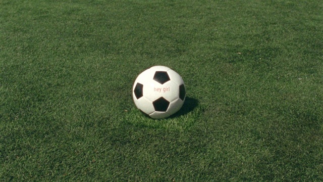 Video Reference N0: Sports equipment, Soccer, Football, Ball, Soccer ball, Ball game, Land lot, Grass, Plant, Flooring