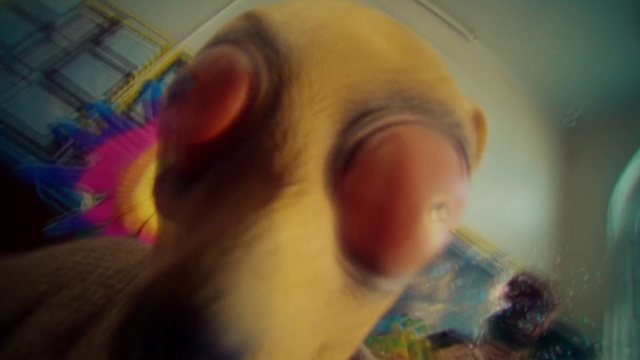 Video Reference N2: Nose, Eyelash, Jaw, Happy, Toy, Sky, Snout, Whiskers, Art, Close-up
