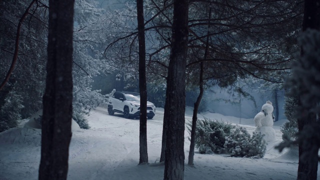 Video Reference N11: Plant, Tire, Wheel, Snow, Vehicle, Automotive tire, Car, Tree, Natural landscape, Wood