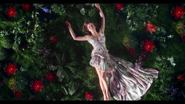 Video Reference N4: Flower, Plant, People in nature, Dress, Petal, Nature, Flash photography, Human body, Branch, Botany