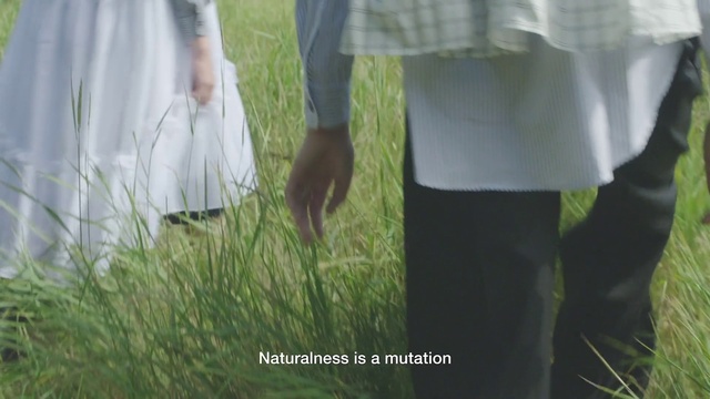Video Reference N0: Plant, Natural environment, People in nature, Sleeve, Mammal, Gesture, Grass, Happy, Adaptation, Grassland