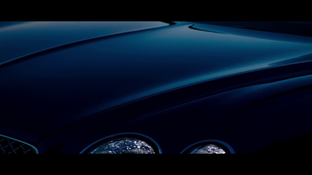 Video Reference N1: Car, Grille, Automotive lighting, Automotive tire, Hood, Motor vehicle, Vehicle, Bumper, Headlamp, Automotive mirror