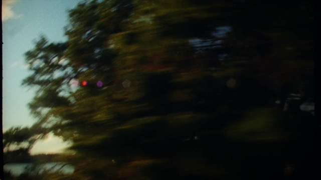 Video Reference N3: Automotive lighting, Larch, Cloud, Twig, Plant, Wood, Natural landscape, Evergreen, Tints and shades, Sky
