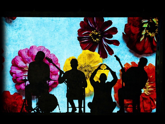 Video Reference N4: Organism, Art, Font, Magenta, Painting, Rectangle, Tints and shades, Petal, People in nature, Event