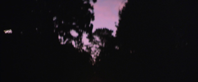 Video Reference N3: Sky, Astronomical object, Tree, Magenta, Event, Midnight, Electric blue, Darkness, Twig, Font