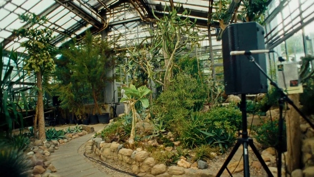 Video Reference N2: Plant, Botany, Biome, Terrestrial plant, Greenhouse, Grass, Shade, Shrub, Tripod, Groundcover
